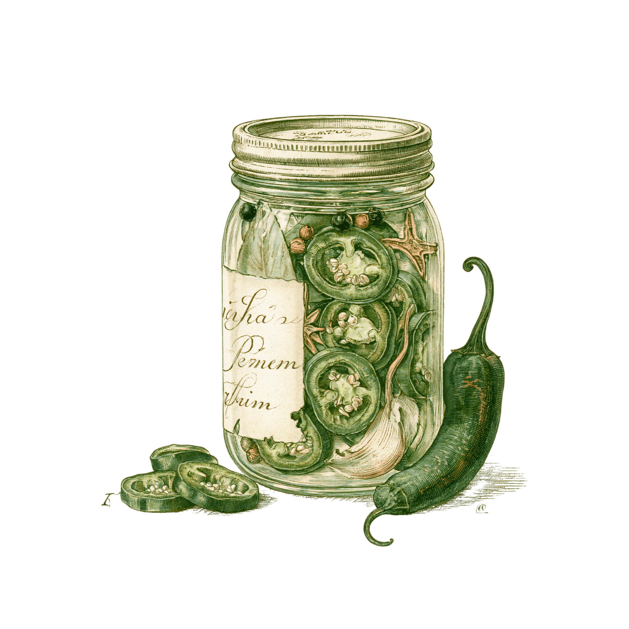 Pickles de jalapeños maison